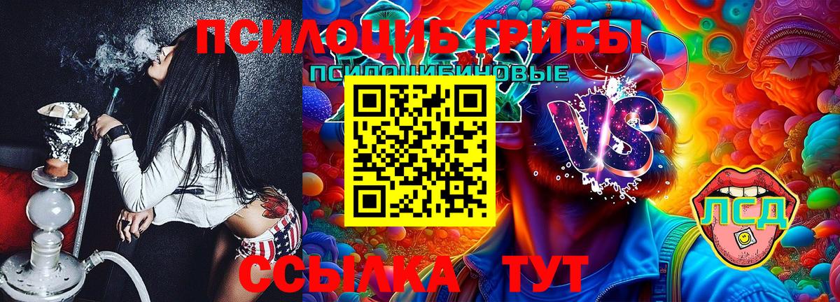 Химки  Псилоцибиновые грибы Psilocybine cubensis  Вход с VPN 